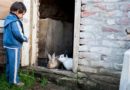 Lesújtó jelentés: a magyar gyerekek harmadát fenyegeti a szegénység, kirekesztettség Lesújtó jelentés: a magyar gyerekek harmadát fenyegeti a szegénység, kirekesztettség