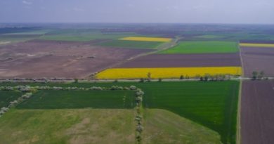 Megdöbbentő számok: ennyibe kerülnek most a földek az országban Megdöbbentő számok: ennyibe kerülnek most a földek az országban