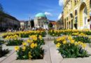 Remek albérletekkel vár Pécs! Remek albérletekkel vár Pécs!