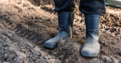 Térképen a klímaváltozásnak legkitettebb magyar régiók – Az agrártársadalom a legsérülékenyebb Térképen a klímaváltozásnak legkitettebb magyar régiók – Az agrártársadalom a legsérülékenyebb