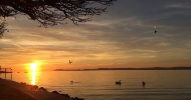 Balaton: Jövőre már saját strandot akarok! Balaton: Jövőre már saját strandot akarok!
