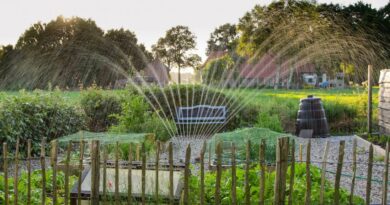 Minden háztulajdonosra hatással lesz: kiderült, mit tervez az állam a fúrt kutakkal – jön a nagy vízellenőrzés! Minden háztulajdonosra hatással lesz: kiderült, mit tervez az állam a fúrt kutakkal – jön a nagy vízellenőrzés!