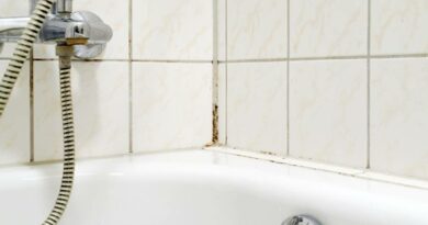 Csak így tüntetheted el a penészt teljesen – Két filléres összetevő kell a szakértő szerint