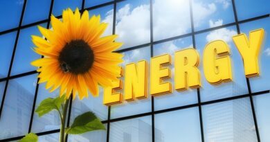 50 milliárd robban a megújuló energiapiacra – itt a támogatás, ami felgyorsíthatja Magyarország energiaforradalmát