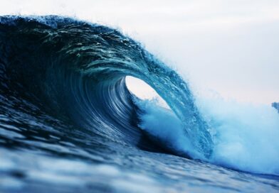 AZ OTTHON START ELSŐ HULLÁMA UTÁN LETISZTULT A PIAC AZ OTTHON START ELSŐ HULLÁMA UTÁN LETISZTULT A PIAC