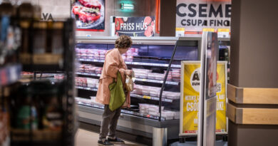 Ma még beszerezhető a pezsgő és a virsli – így alakul az üzletek nyitvatartása szilveszterkor és újévkor Ma még beszerezhető a pezsgő és a virsli – így alakul az üzletek nyitvatartása szilveszterkor és újévkor