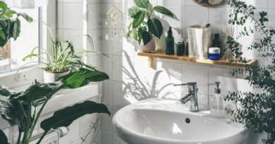 Tisztítják a levegőt és feldobják a teret: 6 szobanövény, ami imádja a párás fürdőszobát is