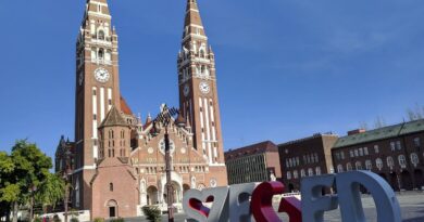 Tarvágásnak tűnik, de zöldebb lesz, mint valaha: teljesen átalakul Szeged egyik belvárosi utcája