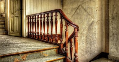 Sokk a lakhatási piacon: ezek a projektek próbálják „feltámasztani” a szociális bérlakásokat Magyarországon Sokk a lakhatási piacon: ezek a projektek próbálják „feltámasztani” a szociális bérlakásokat Magyarországon