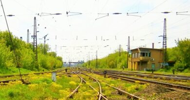 Vitézy elárulta, mi jöhet Rákosrendezőn: erdő, tó és több ezer új otthon