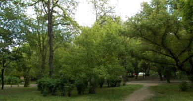 Új szintre lép a Haller Park: teljesen átalakul a sportpálya, ilyet még nem láttak a környéken Új szintre lép a Haller Park: teljesen átalakul a sportpálya, ilyet még nem láttak a környéken